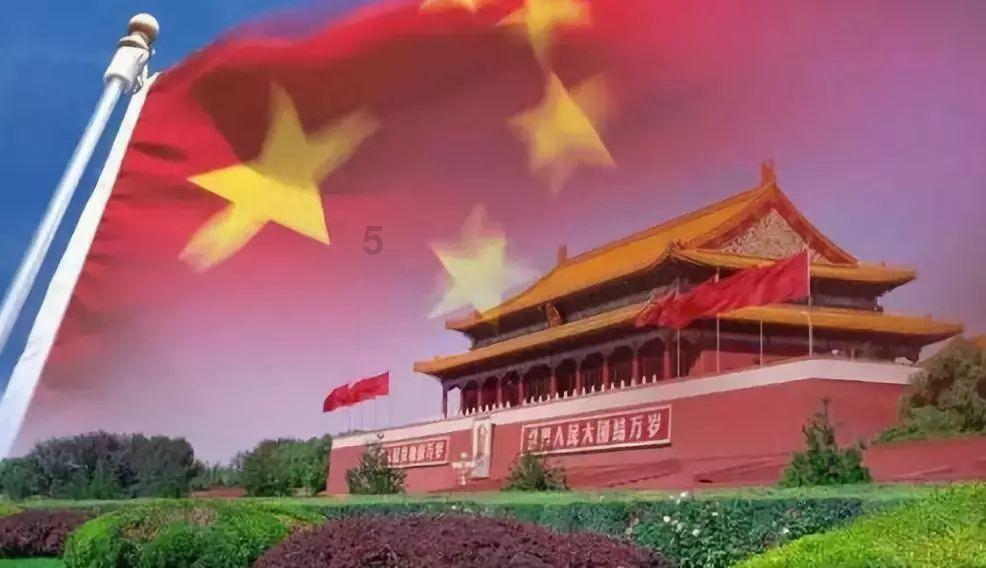 【行摄云南】弥勒:艳丽鲜花俏枝头