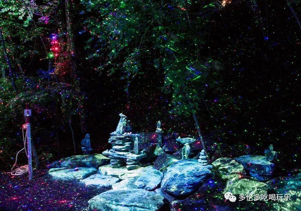 王树声追求女军医:初次出师不利,百里送面和肉定情
